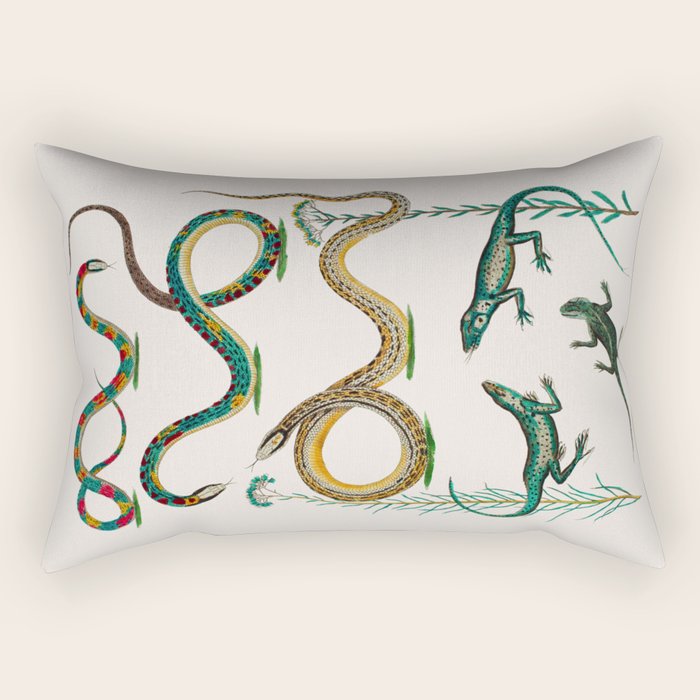 Albertus Seba Snakes And Lizards Teal Rectangular Pillow Gallery Image 2
