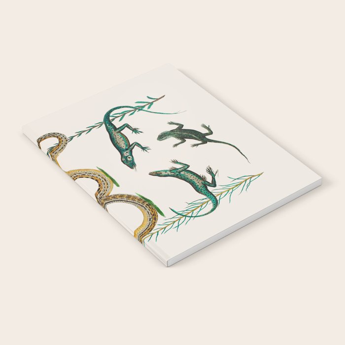 Albertus Seba Snakes And Lizards Teal Notebook Gallery Image 2