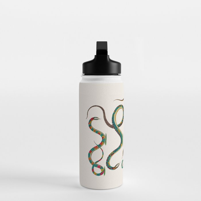 Albertus Seba Snakes And Lizards Teal Water Bottle Gallery Image 3