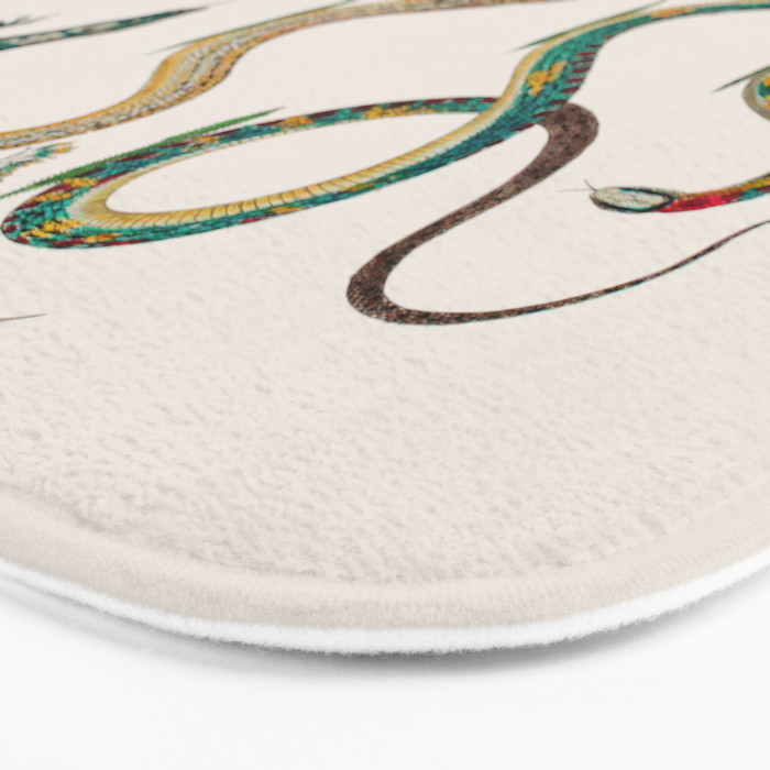Albertus Seba Snakes And Lizards Teal Bath Mat Gallery Image 3