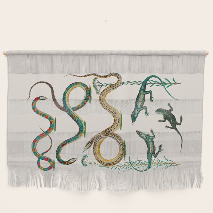 Albertus Seba Snakes And Lizards Teal Wall Hanging Gallery Image 1