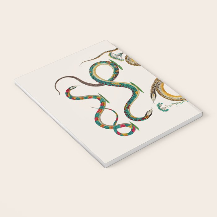 Albertus Seba Snakes And Lizards Teal Notebook Gallery Image 3