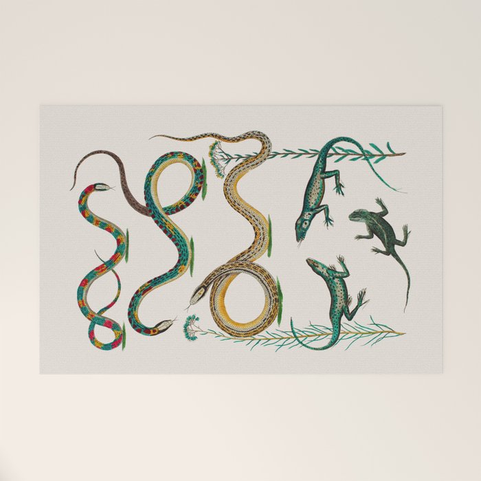 Albertus Seba Snakes And Lizards Teal Welcome Mat Gallery Image 1