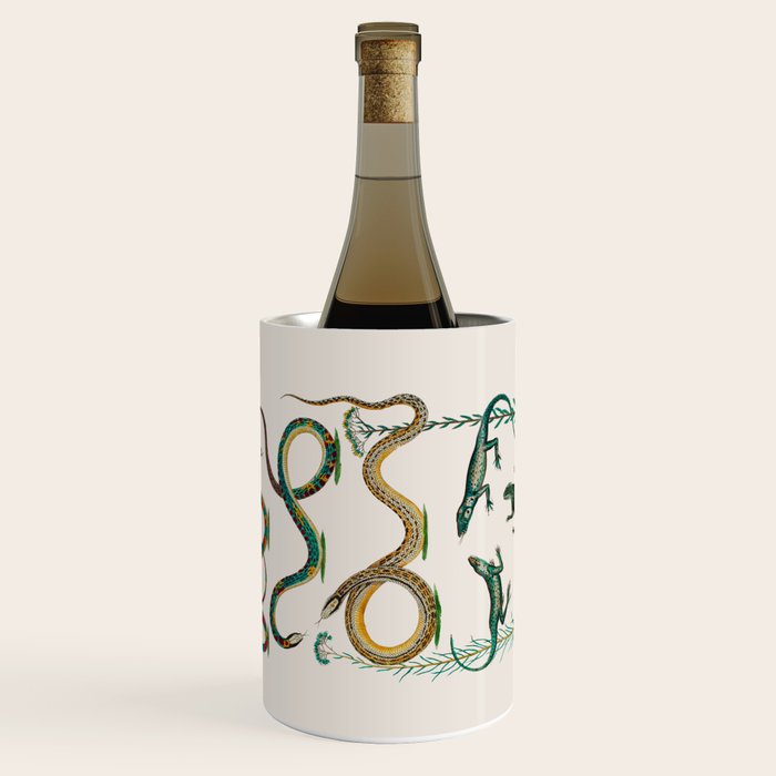 Albertus Seba Snakes And Lizards Teal Wine Chiller Gallery Image 1
