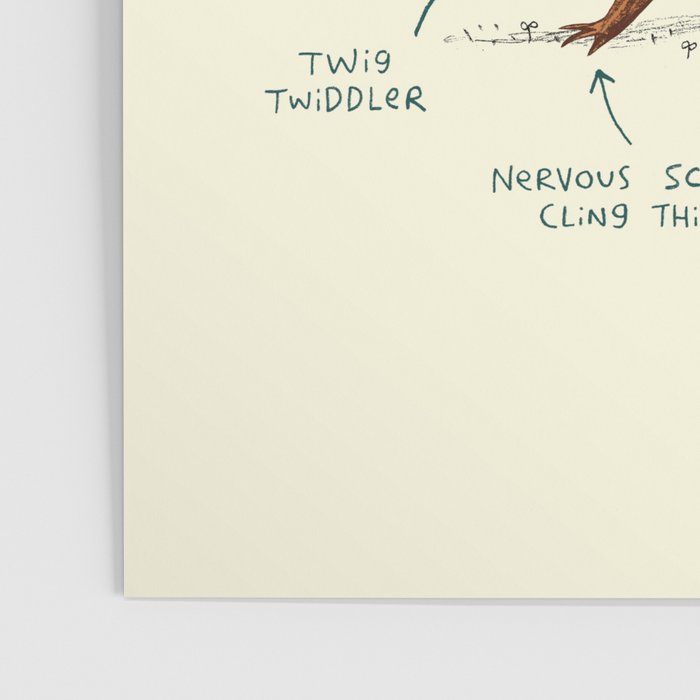 Anatomy of a Squirrel Poster Gallery Image 3