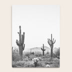 ARIZONA DESERT VI / Scottsdale Notebook Gallery Image 4