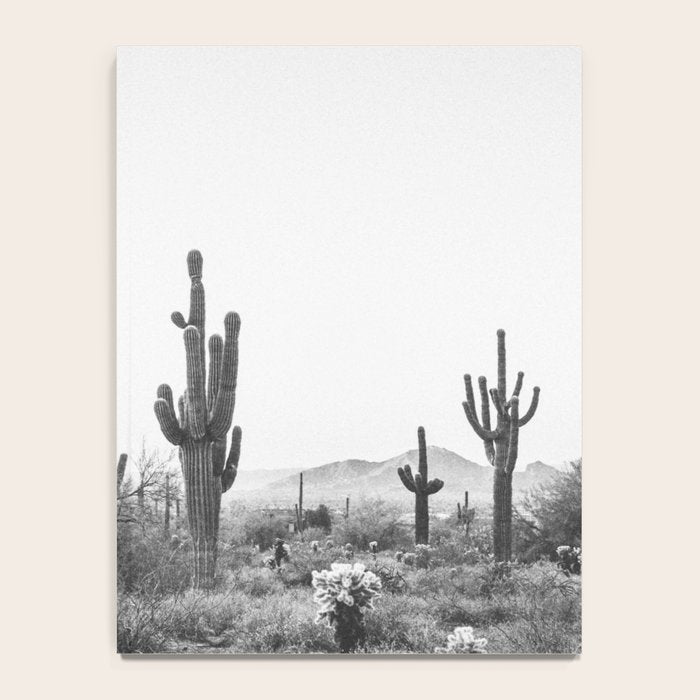 ARIZONA DESERT VI / Scottsdale Notebook Gallery Image 4
