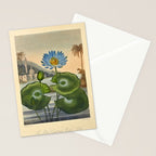 Egyptian Water Lily from "The Temple of Flora," 1812 (benefitting The Nature Conservancy) Stationery Card Gallery Image 2