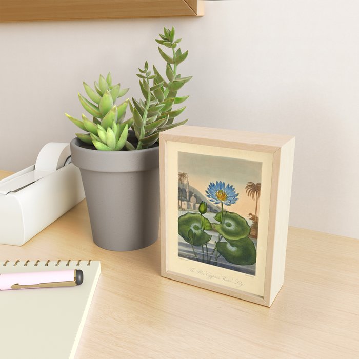 Egyptian Water Lily from "The Temple of Flora," 1812 (benefitting The Nature Conservancy) Mini Art Print Gallery Image 2