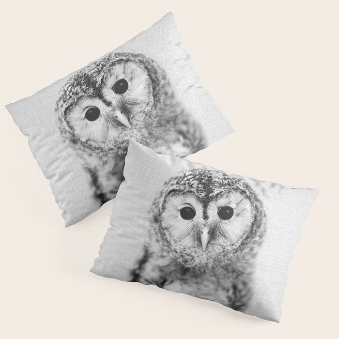 Baby Owl - Black & White Pillow Sham Gallery Image 1