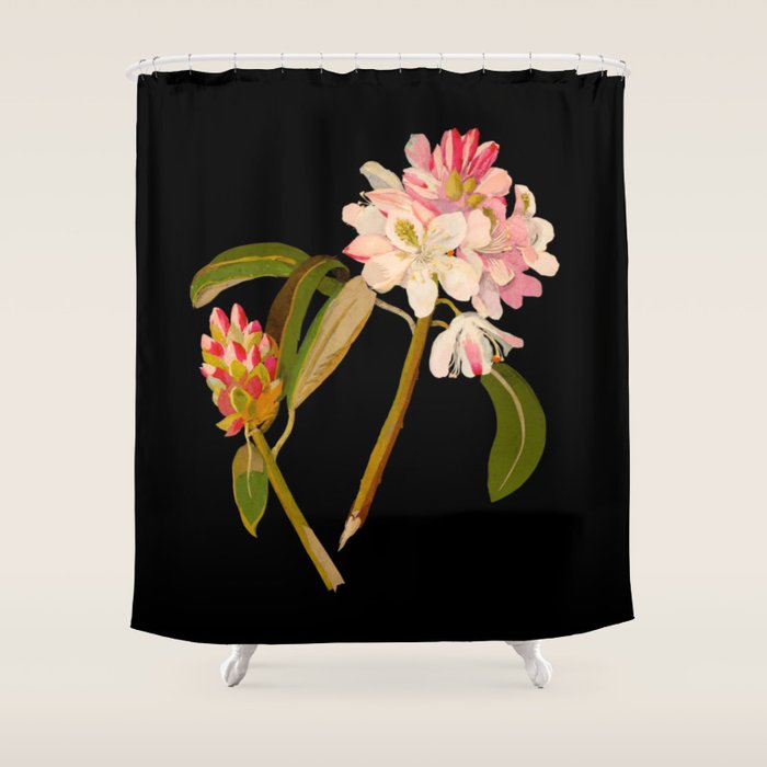 Rhododendron Maximum  by Mary Delany Paper Collage Floral Flower Botanical Paper Mosaic Vintage Scientific Plant Anatomy Shower Curtain Gallery Image 1