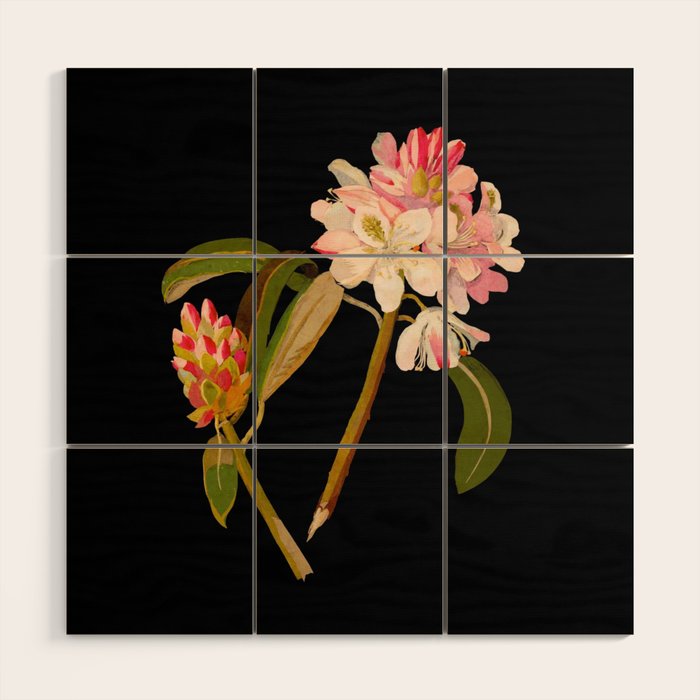 Rhododendron Maximum  by Mary Delany Paper Collage Floral Flower Botanical Paper Mosaic Vintage Scientific Plant Anatomy Wood Wall Art Gallery Image 1