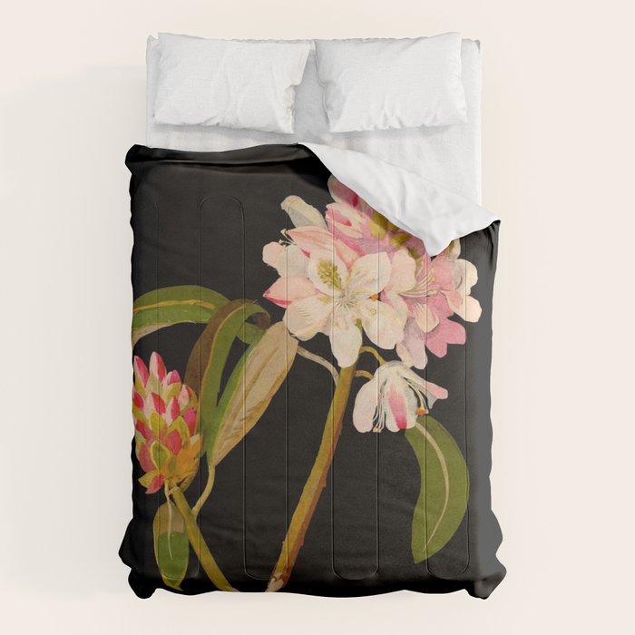 Rhododendron Maximum  by Mary Delany Paper Collage Floral Flower Botanical Paper Mosaic Vintage Scientific Plant Anatomy Comforter Gallery Image 6