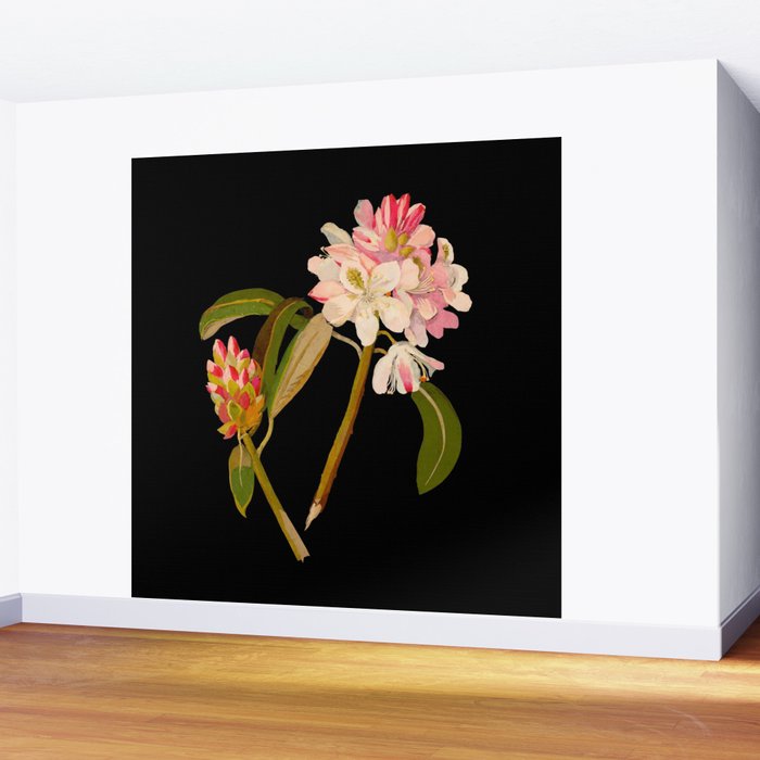 Rhododendron Maximum  by Mary Delany Paper Collage Floral Flower Botanical Paper Mosaic Vintage Scientific Plant Anatomy Wall Mural Gallery Image 2