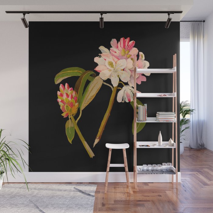 Rhododendron Maximum  by Mary Delany Paper Collage Floral Flower Botanical Paper Mosaic Vintage Scientific Plant Anatomy Wall Mural Gallery Image 1