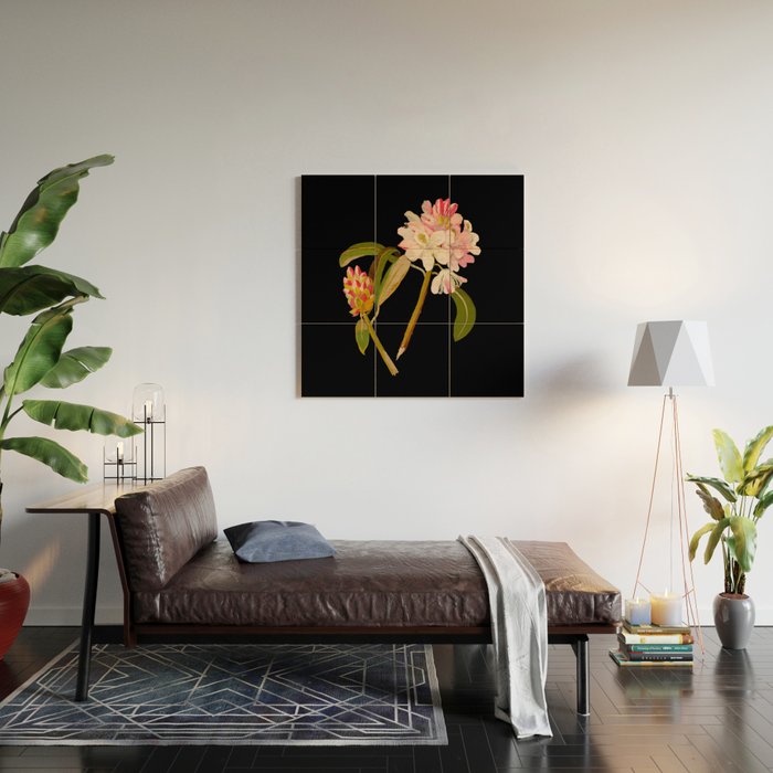 Rhododendron Maximum  by Mary Delany Paper Collage Floral Flower Botanical Paper Mosaic Vintage Scientific Plant Anatomy Wood Wall Art Gallery Image 2