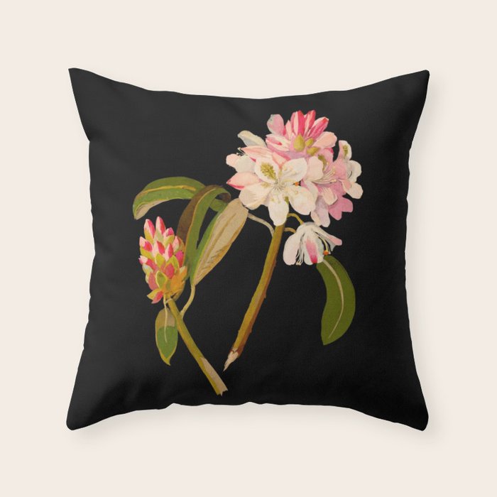 Rhododendron Maximum  by Mary Delany Paper Collage Floral Flower Botanical Paper Mosaic Vintage Scientific Plant Anatomy Throw Pillow Gallery Image 6
