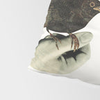 Bird in the Hand Pillow Sham Gallery Image 4