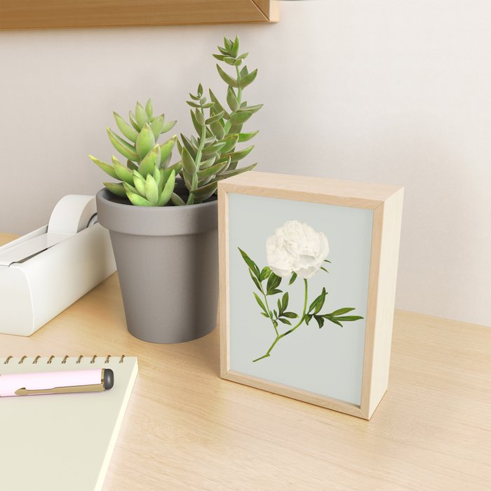 White Rose 2 Mini Art Print Gallery Image 2