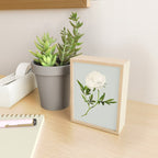 White Rose 2 Mini Art Print Gallery Image 2