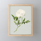 White Rose 2 Mini Art Print Gallery Image 1