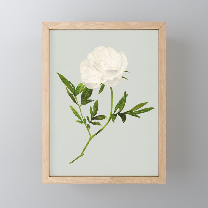 White Rose 2 Mini Art Print Gallery Image 1