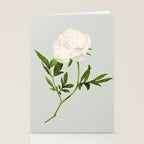 White Rose 2 Stationery Card Gallery Image 2