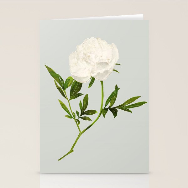 White Rose 2 Stationery Card Gallery Image 2