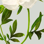 White Rose 2 Coffee Mug Gallery Image 2