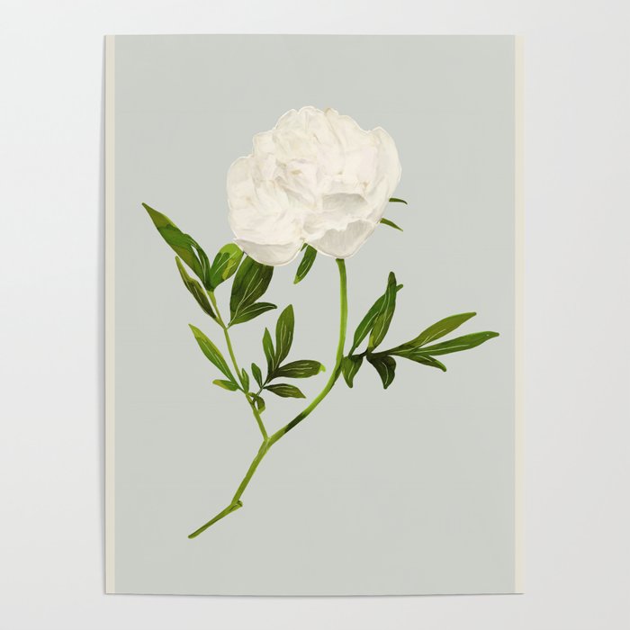 White Rose 2 Poster Gallery Image 4