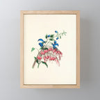  Salvia and dielytra flowers by Clarissa Munger Badger, 1866 (benefitting The Nature Conservancy) Mini Art Print Gallery Image 1