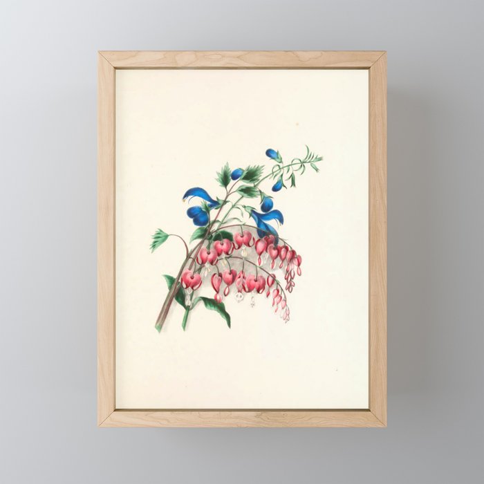  Salvia and dielytra flowers by Clarissa Munger Badger, 1866 (benefitting The Nature Conservancy) Mini Art Print Gallery Image 1