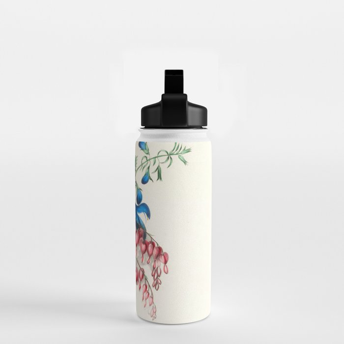  Salvia and dielytra flowers by Clarissa Munger Badger, 1866 (benefitting The Nature Conservancy) Water Bottle Gallery Image 2