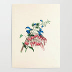  Salvia and dielytra flowers by Clarissa Munger Badger, 1866 (benefitting The Nature Conservancy) Poster Gallery Image 4