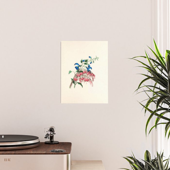  Salvia and dielytra flowers by Clarissa Munger Badger, 1866 (benefitting The Nature Conservancy) Poster Gallery Image 2