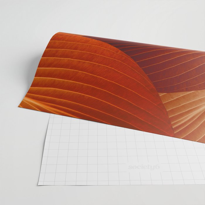 Leaves in Terracotta Color #decor #society6 #buyart Wrapping Paper Gallery Image 2