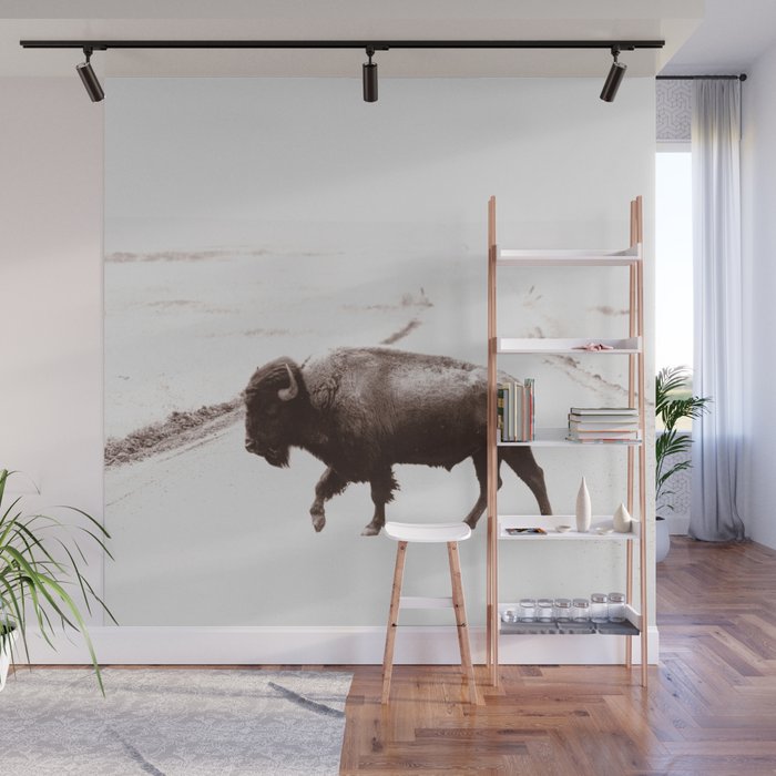 Bison 3 Wall Mural Gallery Image 1