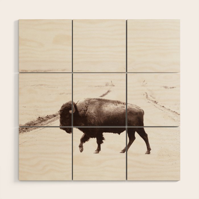 Bison 3 Wood Wall Art Gallery Image 1