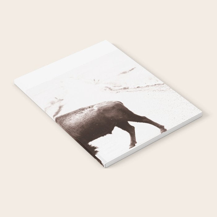 Bison 3 Notebook Gallery Image 2