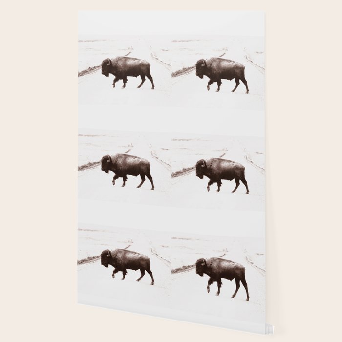 Bison 3 Wallpaper Gallery Image 2