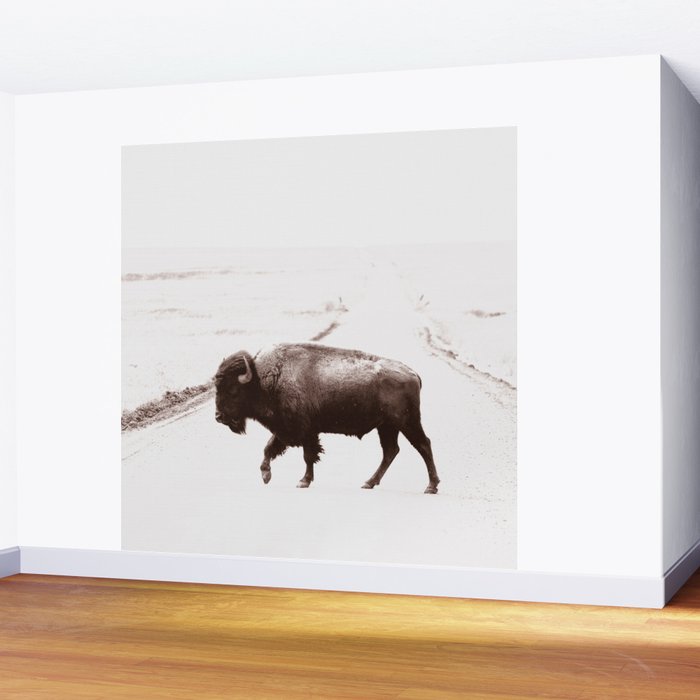 Bison 3 Wall Mural Gallery Image 2