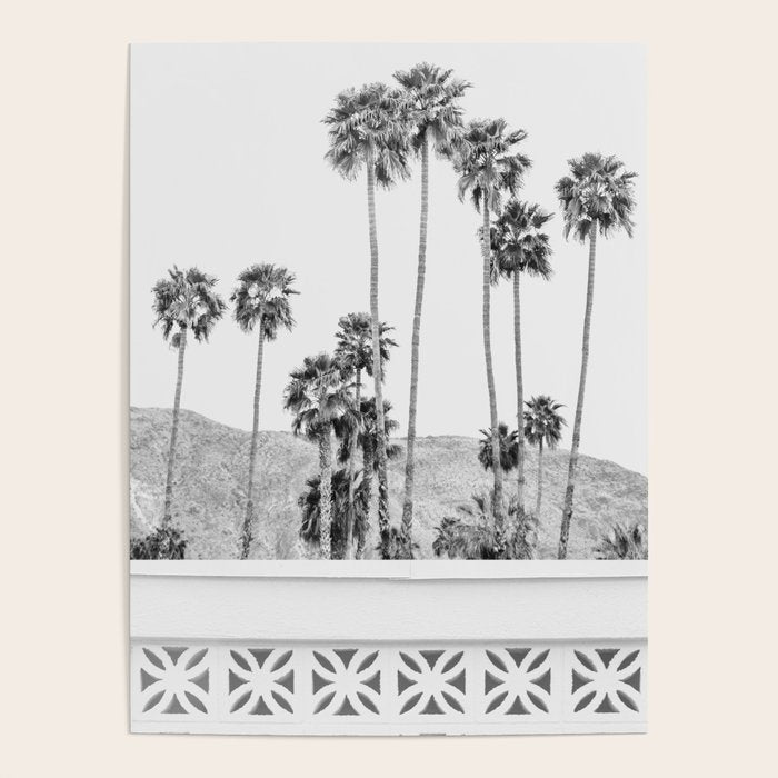 Breeze Block - Palm Springs Black and White Photography Poster Gallery Image 4