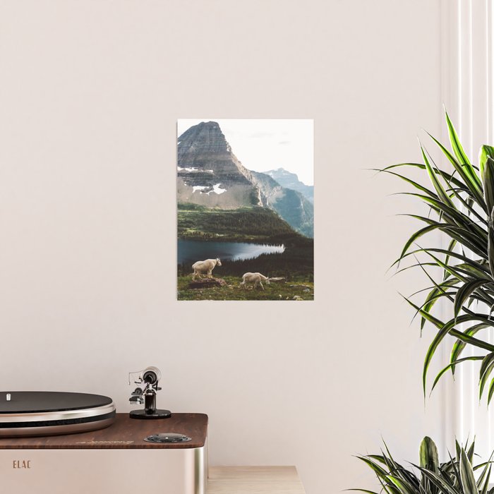 A Walk With The Mountain Goats Poster Gallery Image 2