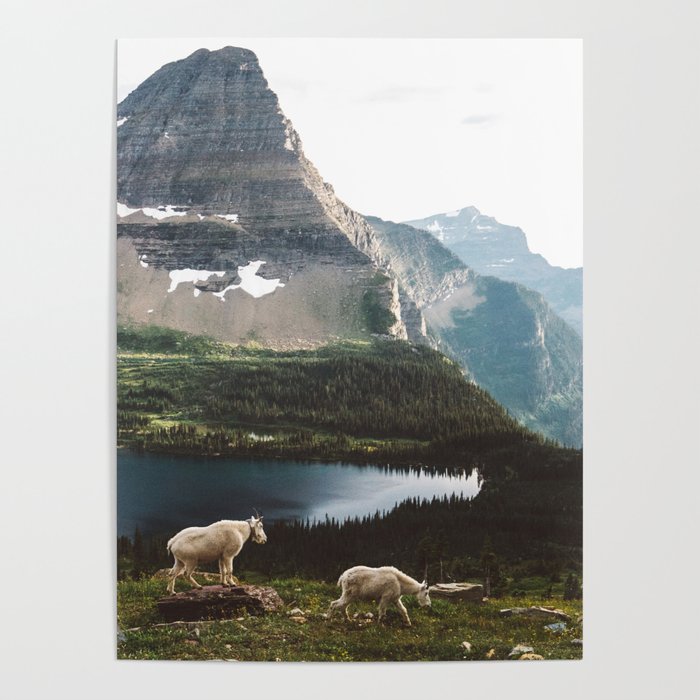 A Walk With The Mountain Goats Poster Gallery Image 1