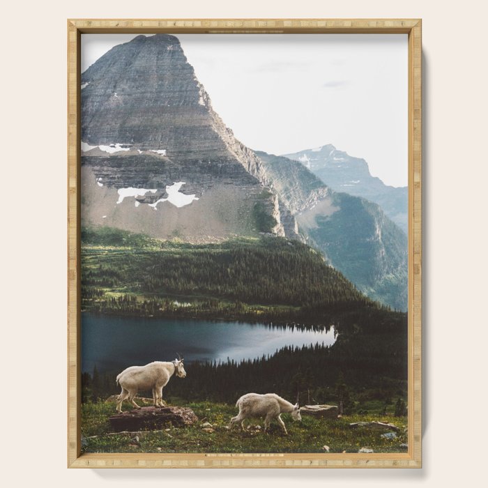 A Walk With The Mountain Goats Serving Tray Gallery Image 1