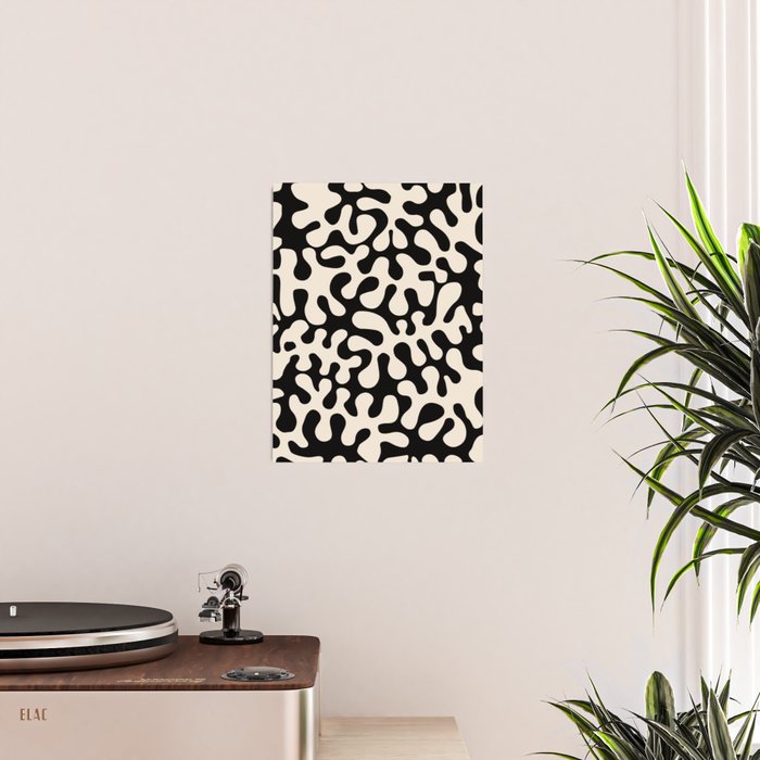 The Coral Poster Gallery Image 2