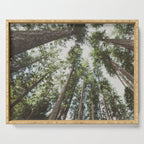 Higher Serving Tray Gallery Image 1