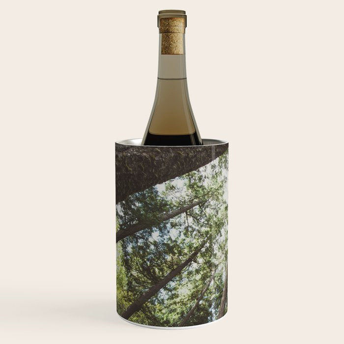 Higher Wine Chiller Gallery Image 2