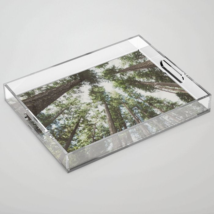 Higher Acrylic Tray Gallery Image 1