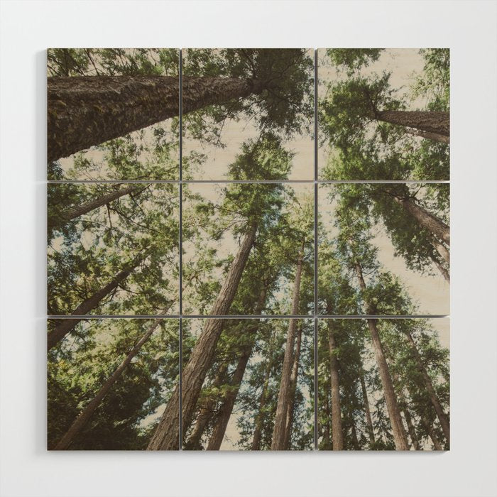Higher Wood Wall Art Gallery Image 1